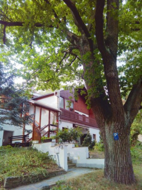 Pension Fischer